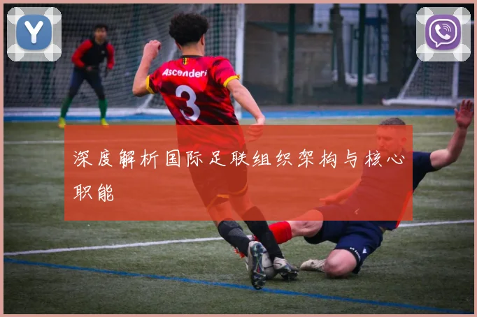 深度解析国际足联组织架构与核心职能