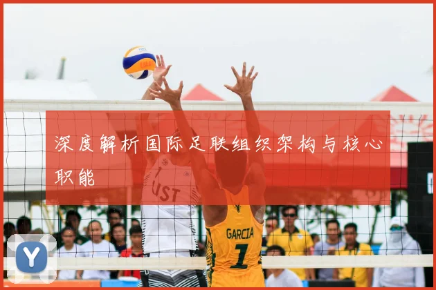 深度解析国际足联组织架构与核心职能