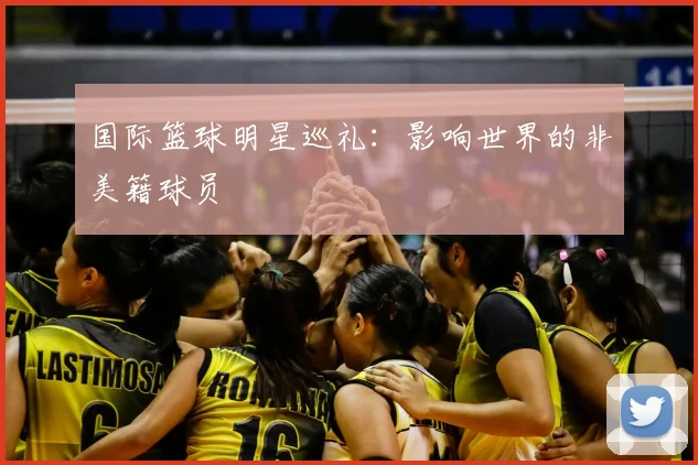 国际篮球明星巡礼:影响世界的非美籍球员